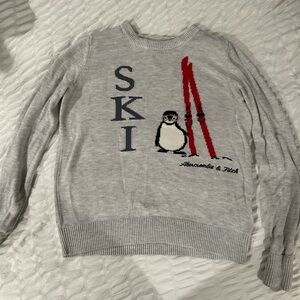 Abercrombie Ski Sweater